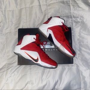 LeBron 12 “heart of a lion”